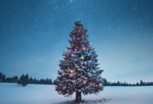 Cute:B7g2rizvuu0= Christmas