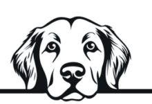 Clipart:6flsthamxjw= Dog