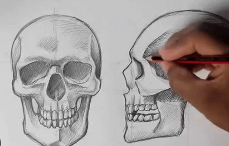 Drawing:Oldj_7nsvxk= Skulls