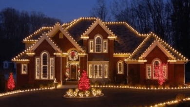 Christmas Light Installation