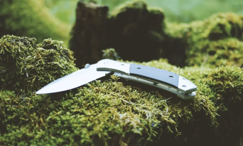 Essential Features to Consider When Choosing a Survival Knife