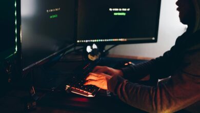 digital fraud detection system