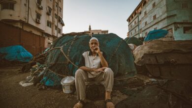 business data insights update