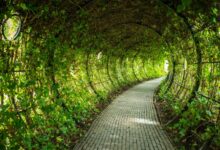 enterprise growth trajectory numbers