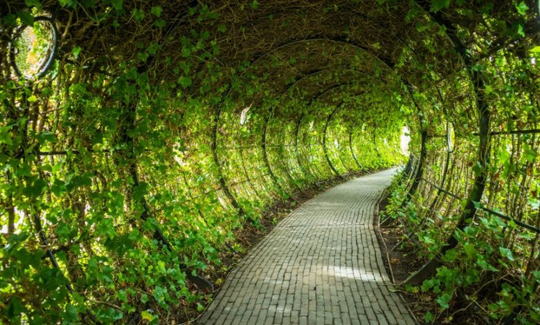 enterprise growth trajectory numbers