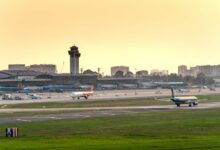 sector outlook data summary