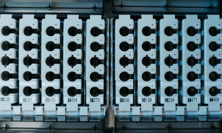 phone number analysis report