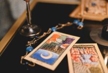 predictive insights for portfolios